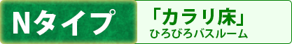 Nタイプ 「カラリ床」 ひろびろバスルーム